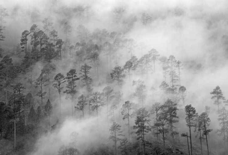 top hotels in Gwalior